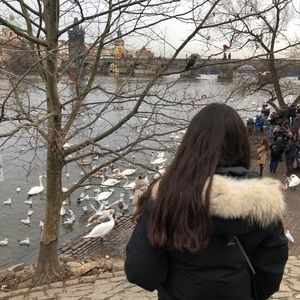 Meet your Posher, Safaa